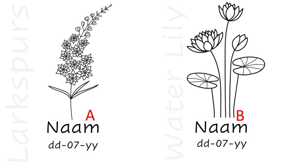 {){$product->name}}